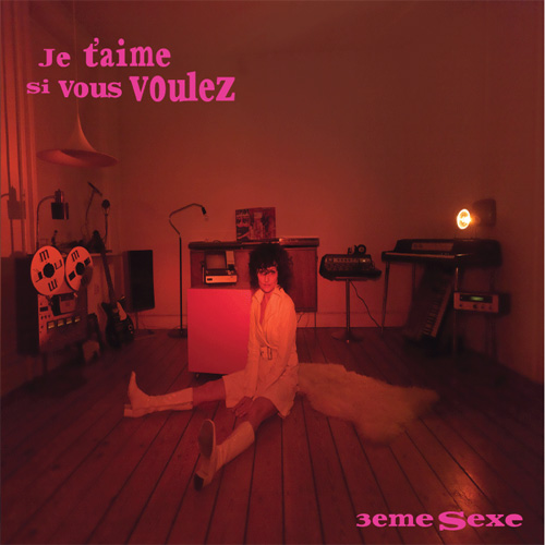 Je t'aime si vous voulez